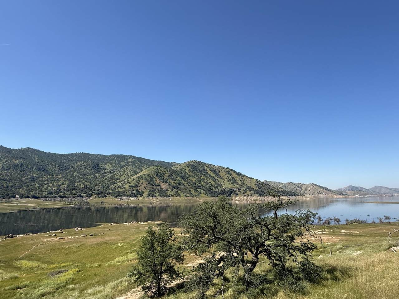  Sierra Drive - Photo 1