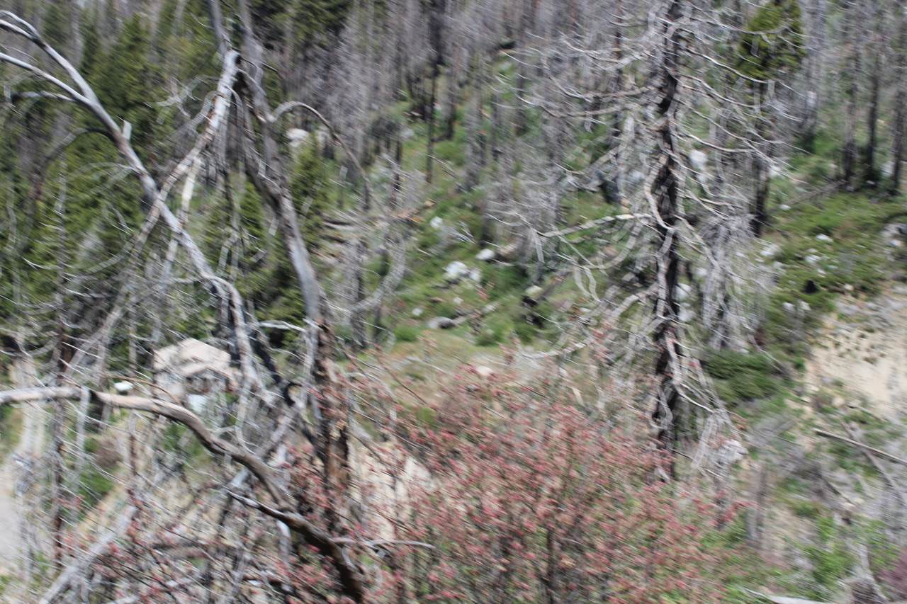 https://bt-photos.global.ssl.fastly.net/tulare/1280_boomver_1_240695-2.jpg