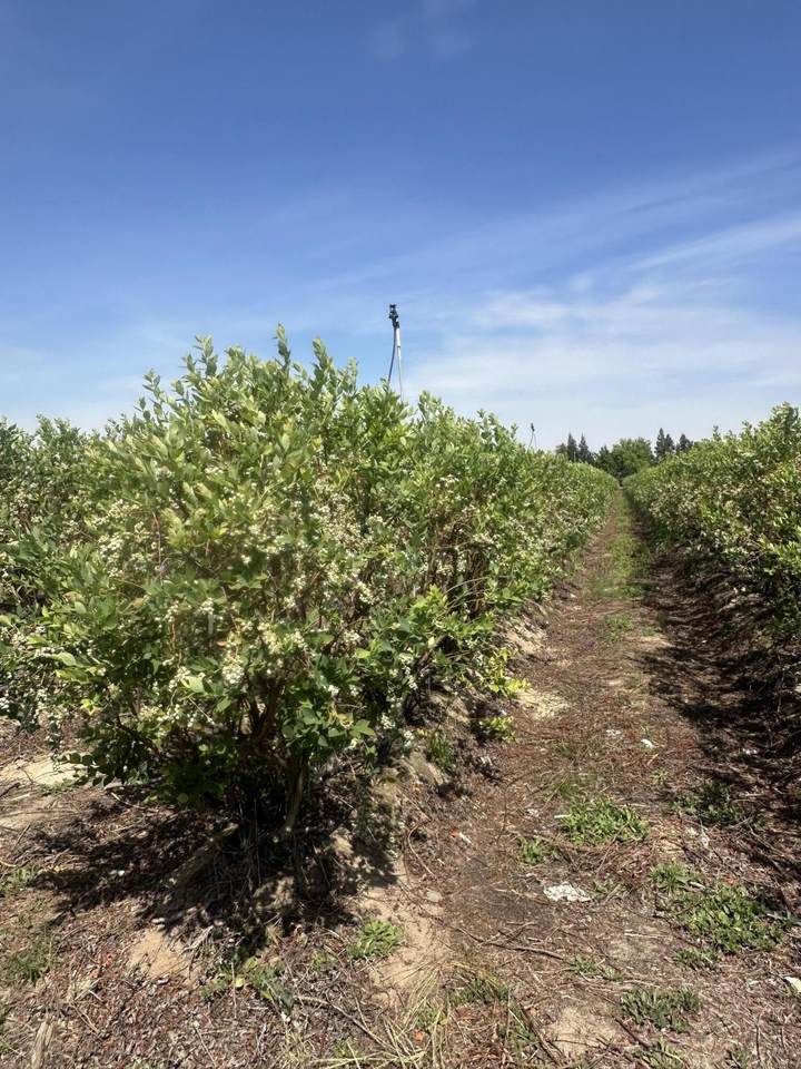  Mountain View Avenue - Photo 1