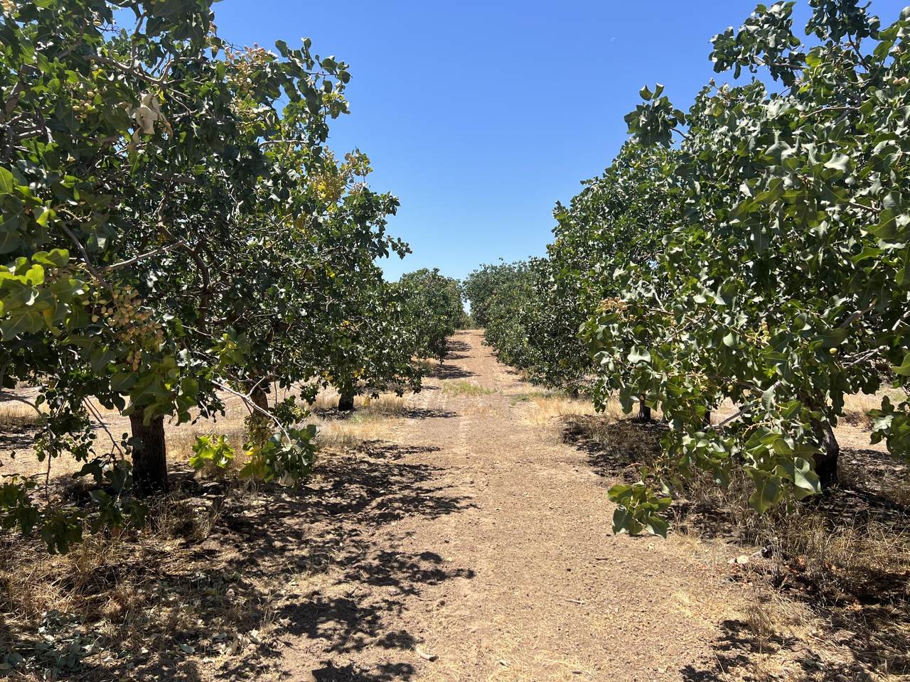 https://bt-photos.global.ssl.fastly.net/tulare/1280_boomver_1_240966-2.jpg