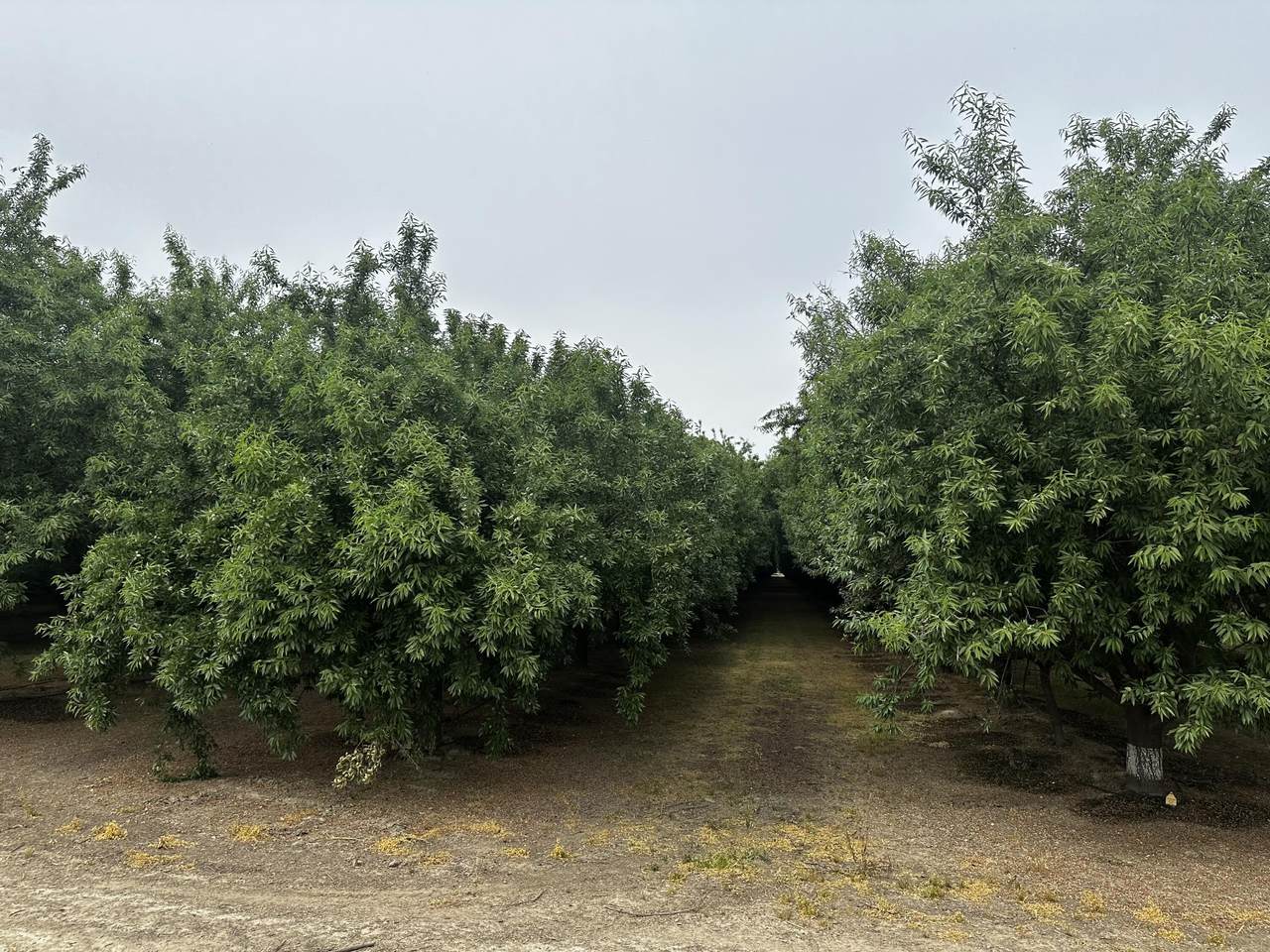 https://bt-photos.global.ssl.fastly.net/tulare/1280_boomver_1_240980-2.jpg