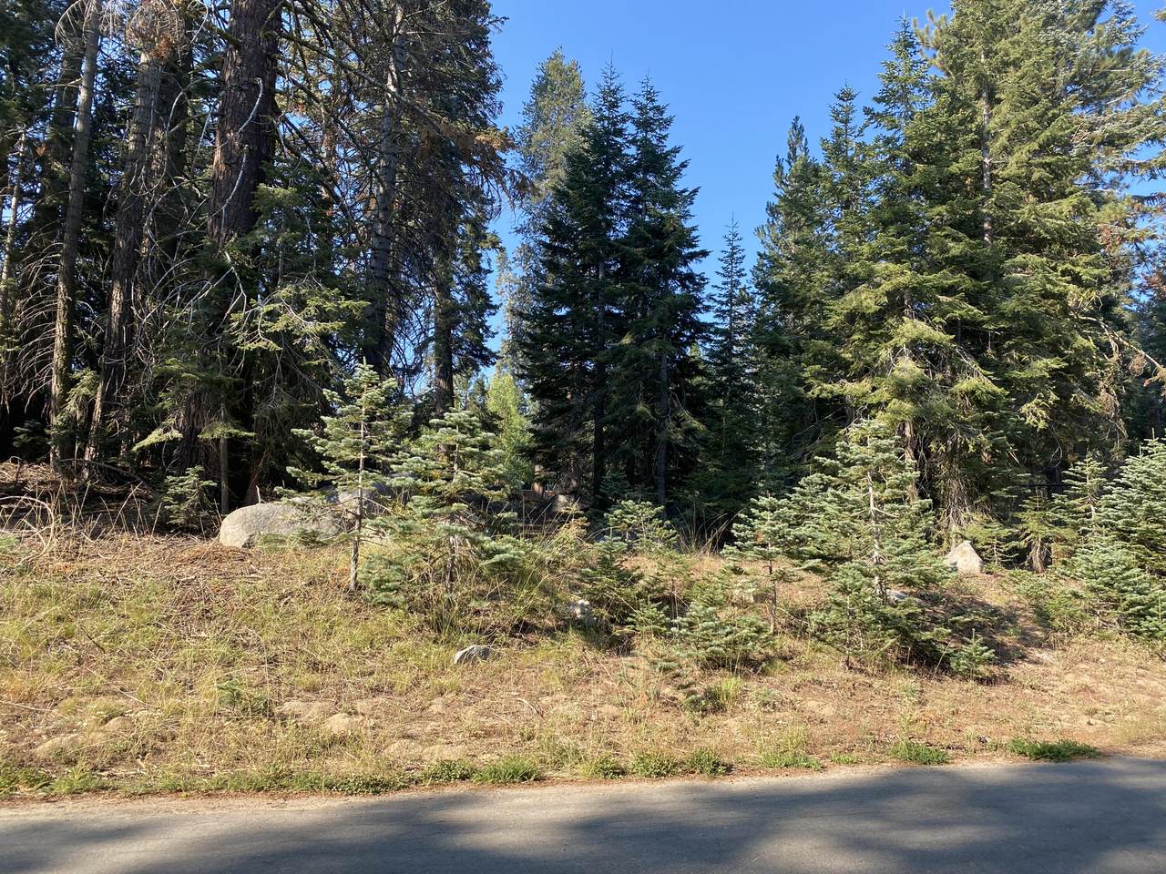 57594 Silver Tip Drive - Photo 1