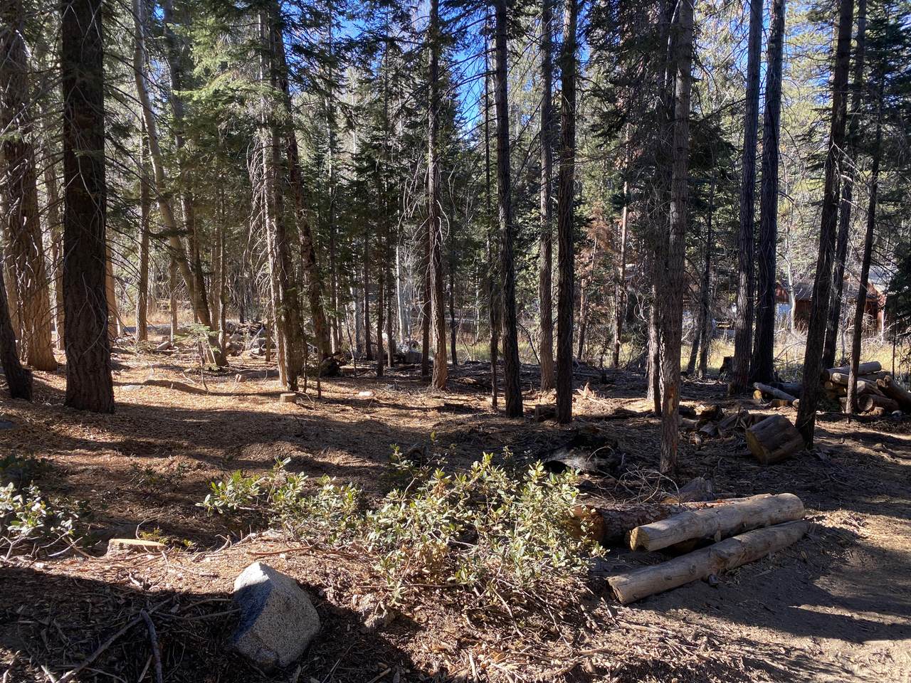 https://bt-photos.global.ssl.fastly.net/tulare/1280_boomver_1_241285-2.jpg