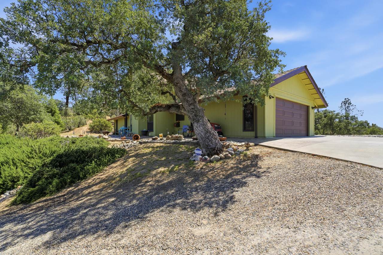 40070 Lilley Mountain Drive - Photo 1