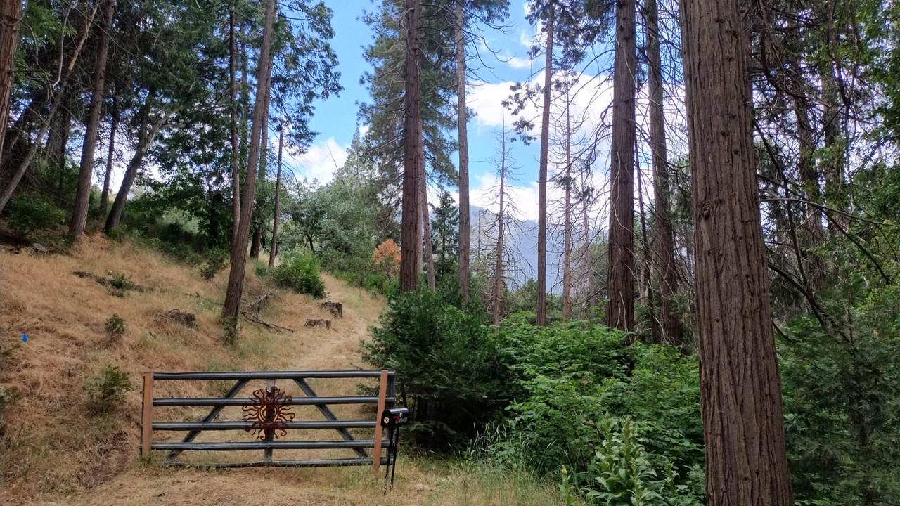 00 Mariposa Drive - Photo 1