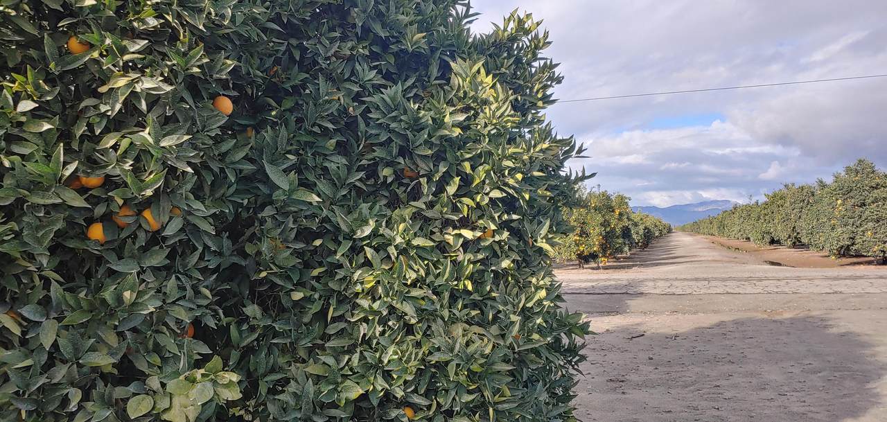 00 Avenue 314 - Photo 1
