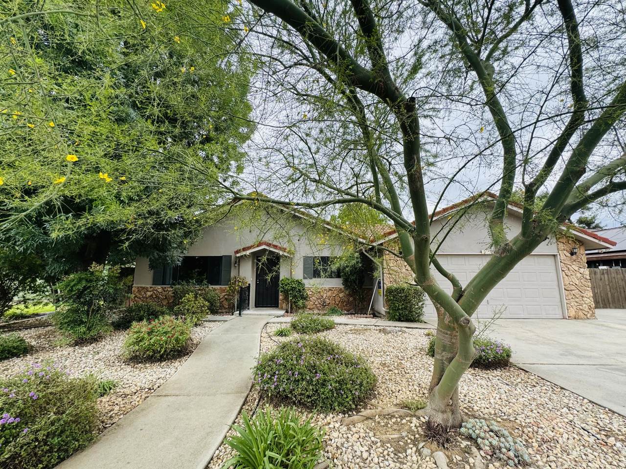 816 Willow Street - Photo 1
