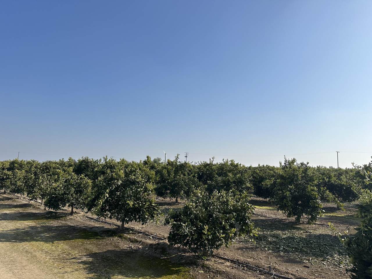 https://bt-photos.global.ssl.fastly.net/tulare/1280_boomver_1_241582-2.jpg