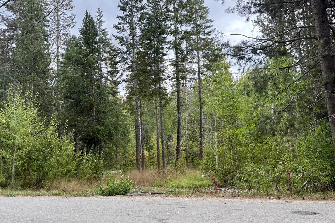 57525 Ponderosa Drive - Photo 1