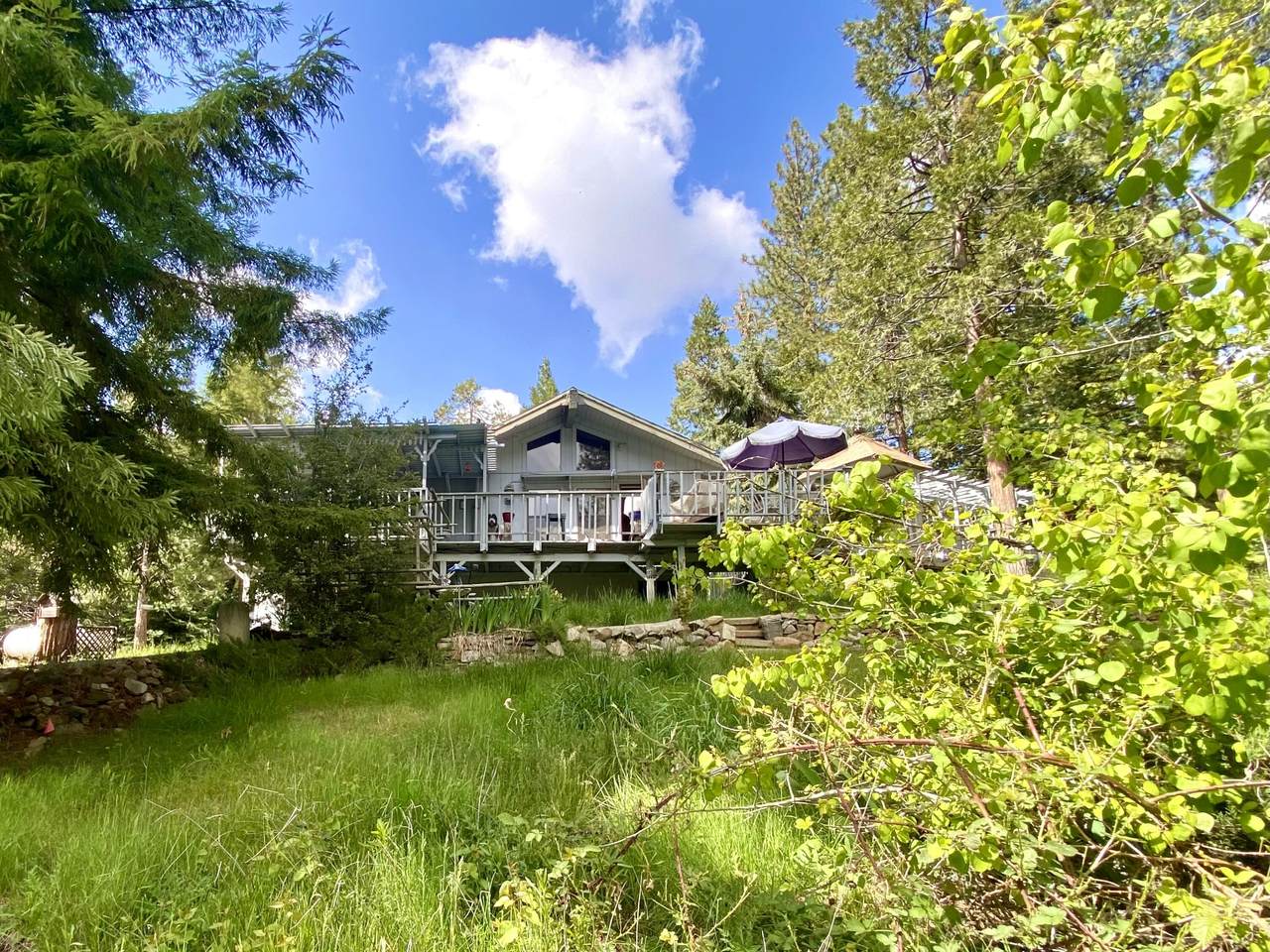 1207 Pine Haven Court - Photo 1