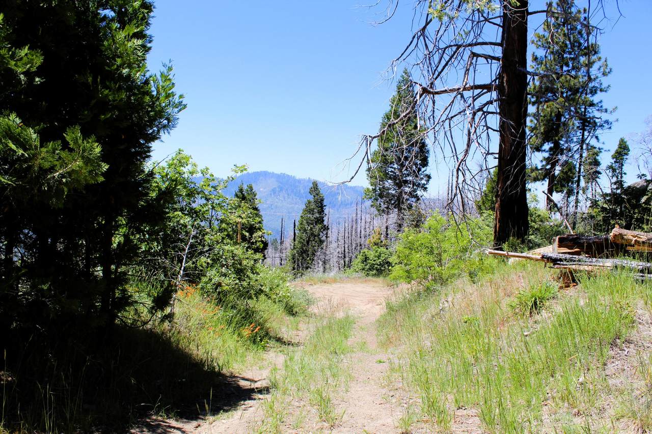 https://bt-photos.global.ssl.fastly.net/tulare/1280_boomver_1_242305-2.jpg