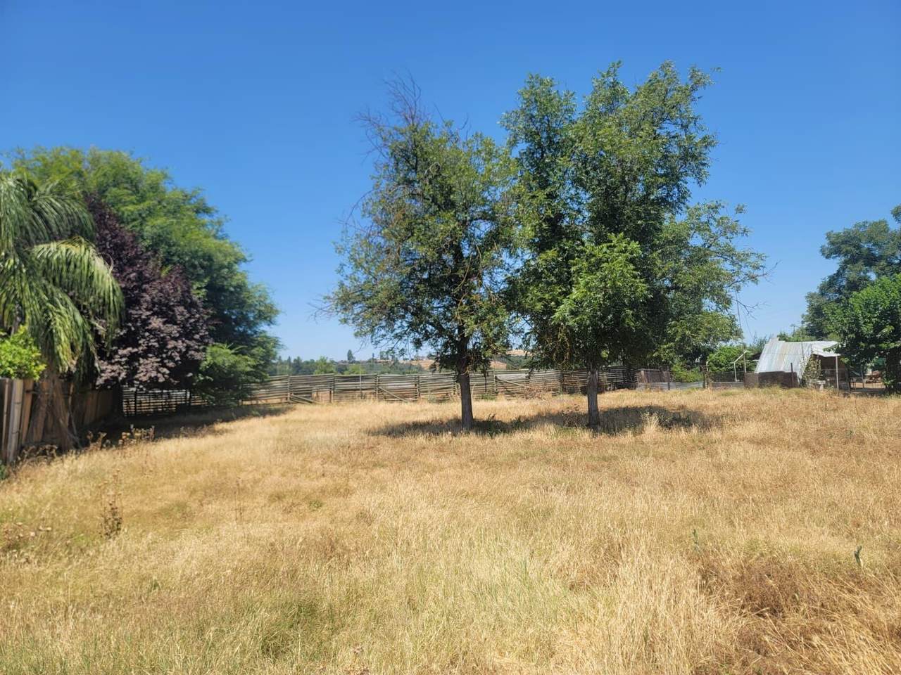 Lots 31&32 Hall Avenue - Photo 1