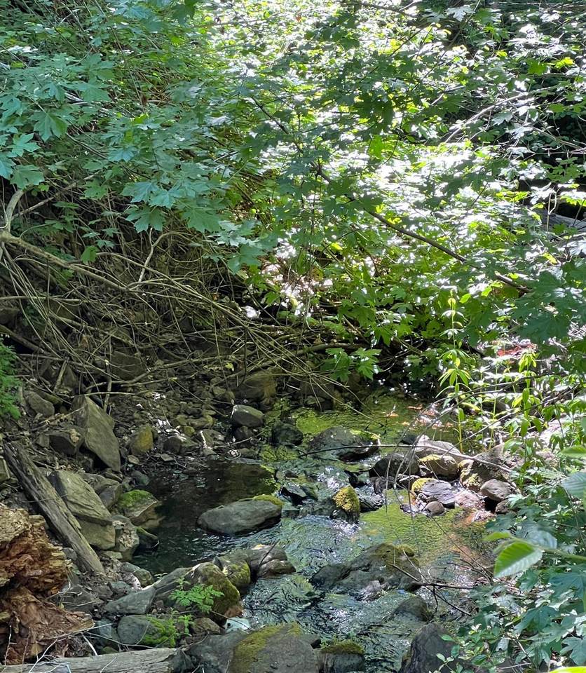 https://bt-photos.global.ssl.fastly.net/tulare/1280_boomver_1_242374-2.jpg