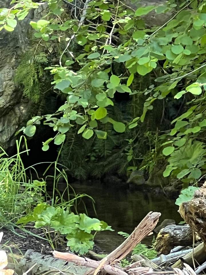 https://bt-photos.global.ssl.fastly.net/tulare/1280_boomver_1_242374-2.jpg