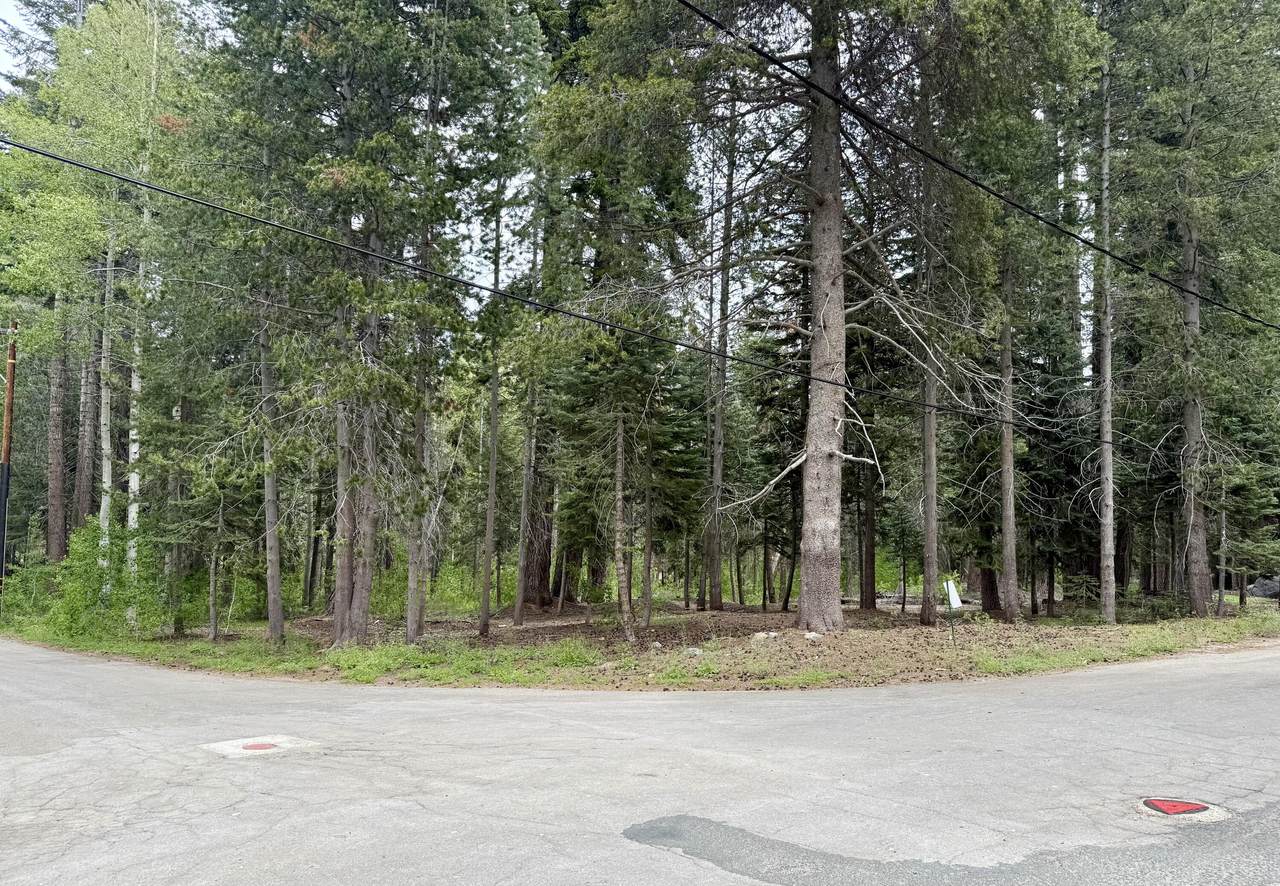  Ponderosa Drive - Photo 1