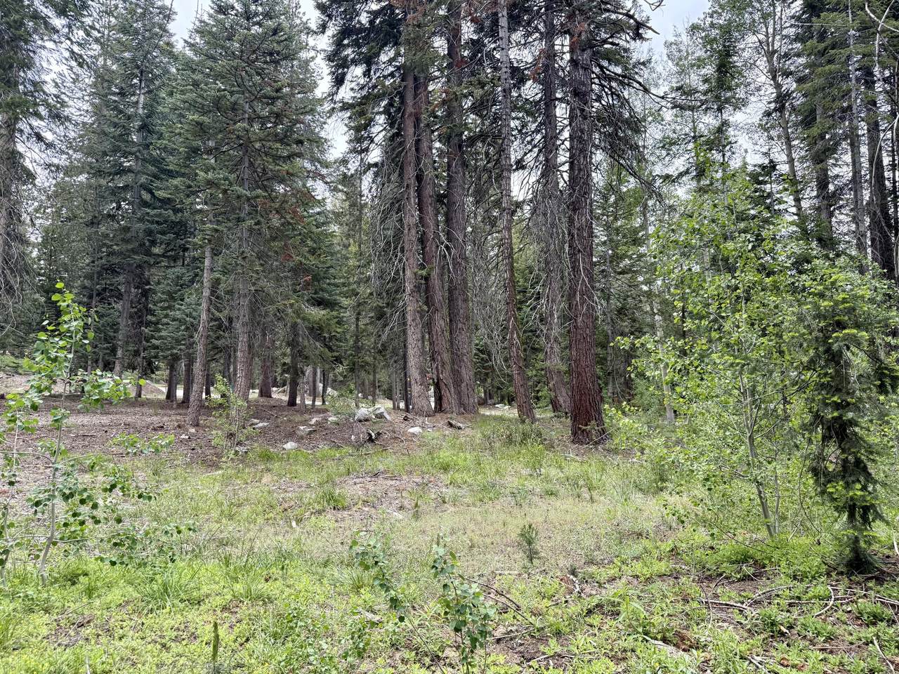 https://bt-photos.global.ssl.fastly.net/tulare/1280_boomver_1_242417-2.jpg