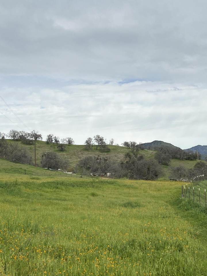 https://bt-photos.global.ssl.fastly.net/tulare/1280_boomver_1_242426-2.jpg