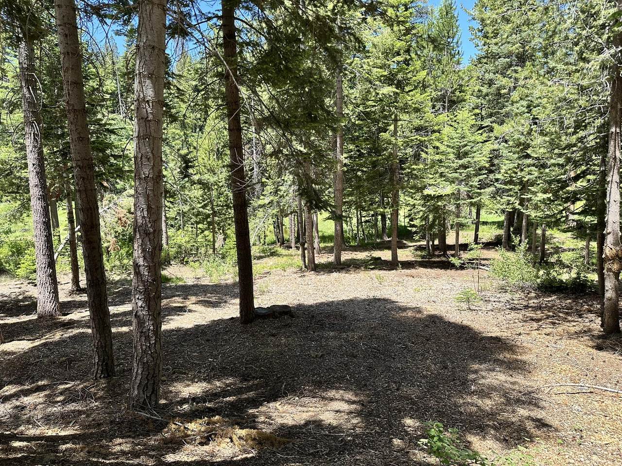 57792 Fawn Drive - Photo 1