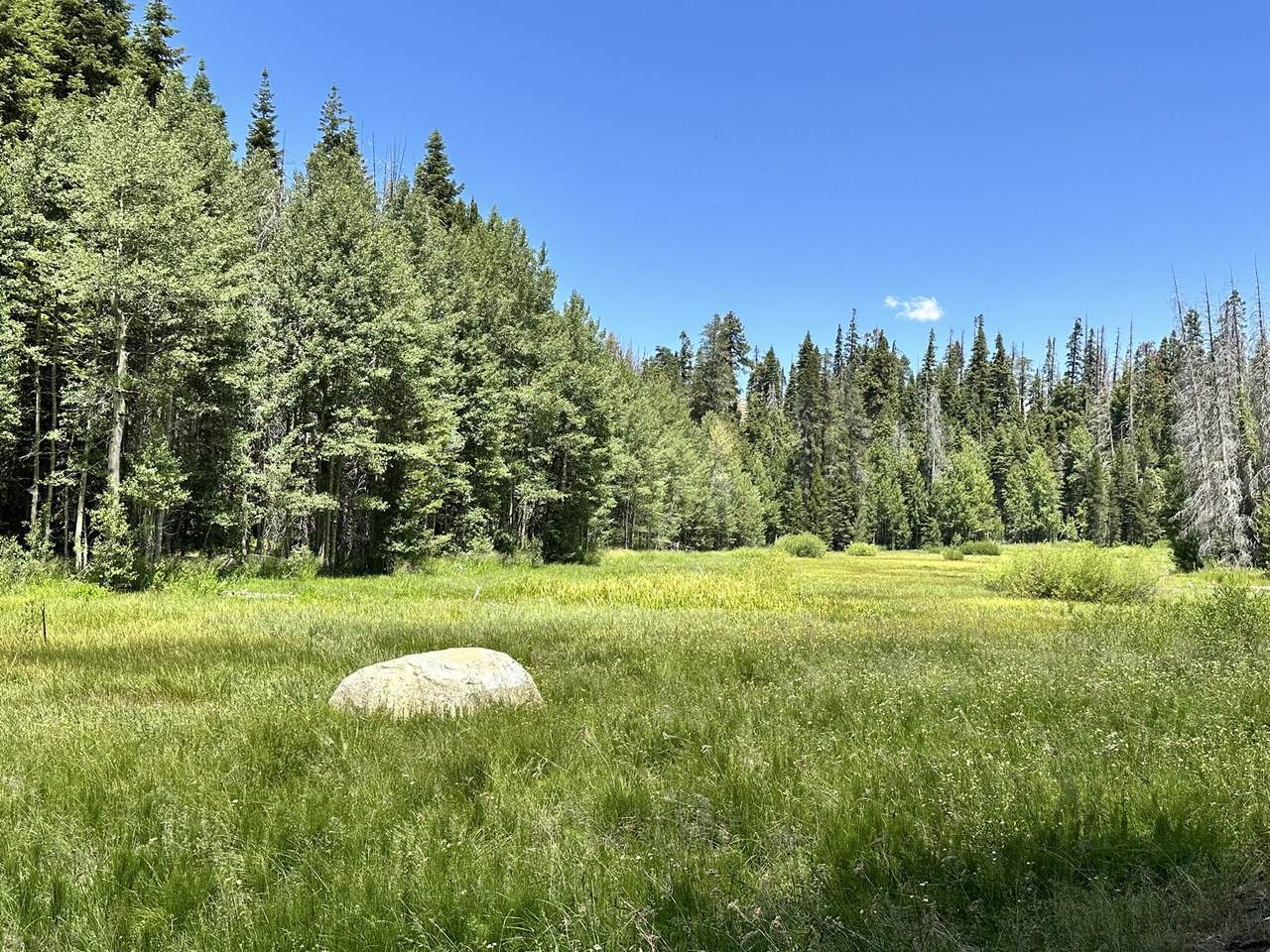 https://bt-photos.global.ssl.fastly.net/tulare/1280_boomver_1_242439-2.jpg