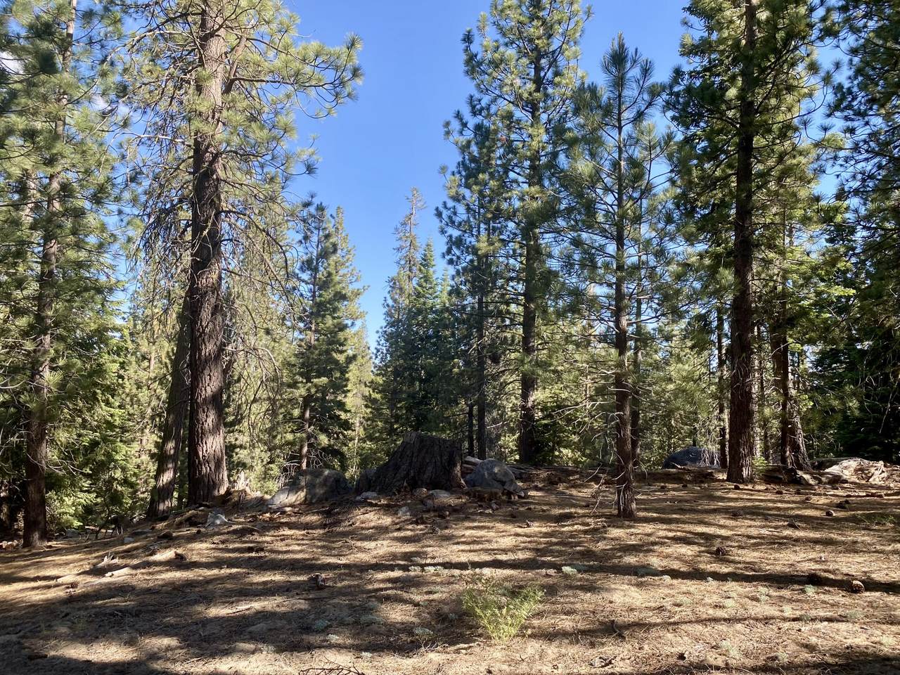 57600 Crest Drive - Photo 1