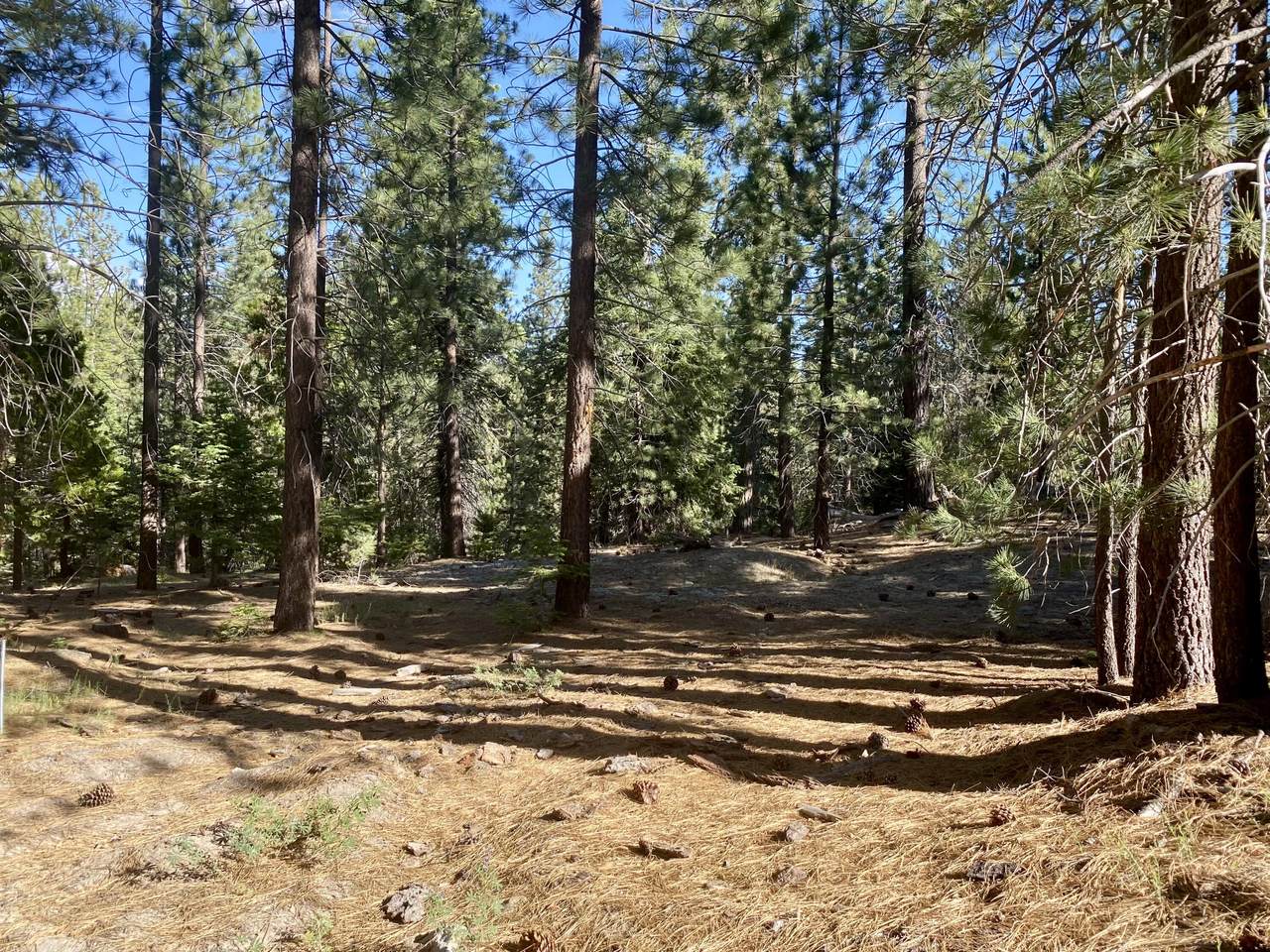 https://bt-photos.global.ssl.fastly.net/tulare/1280_boomver_1_242610-2.jpg