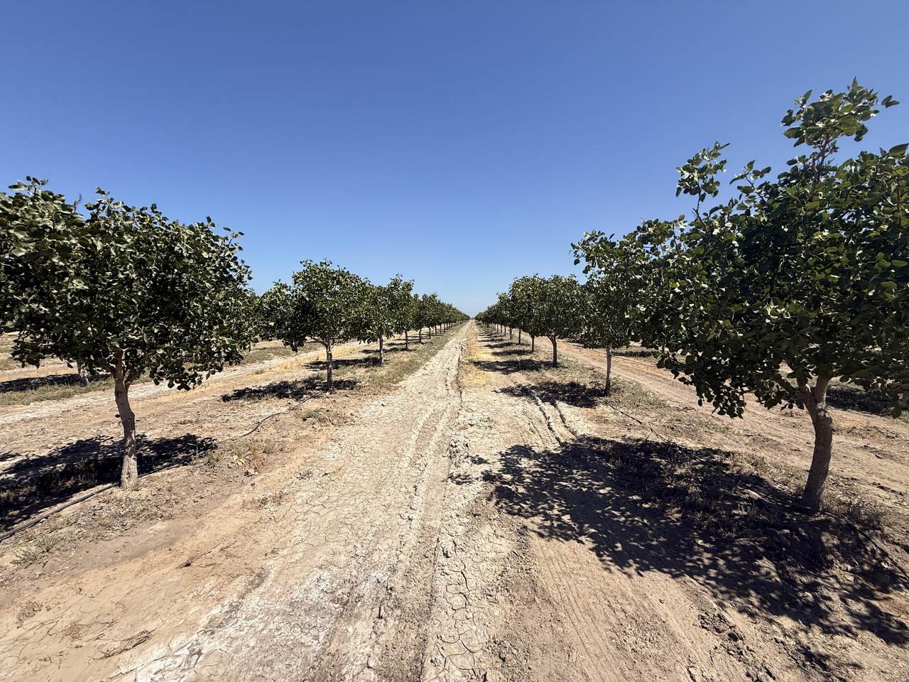0 Road 30 - Photo 1