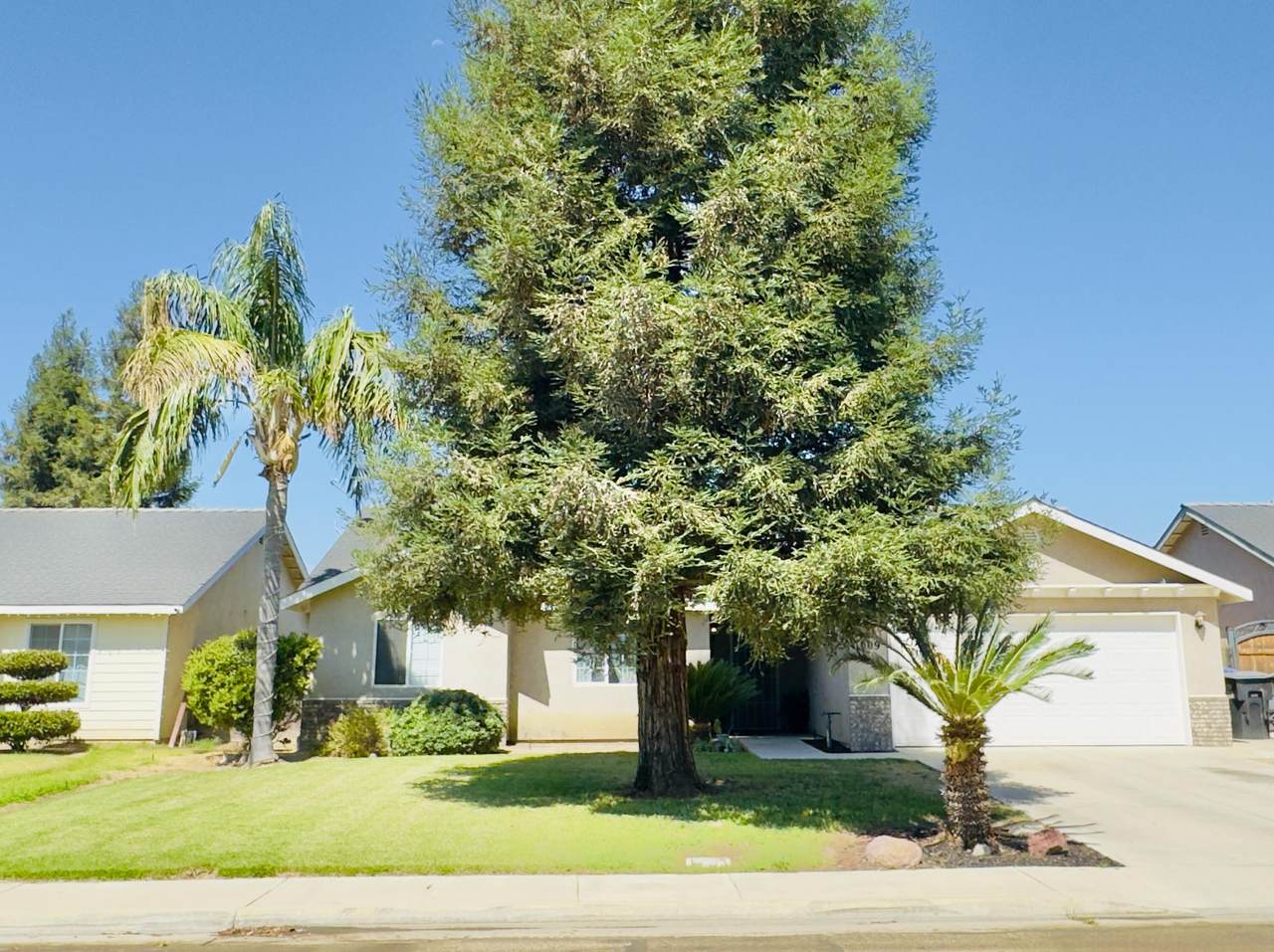 1009 Elverta Street - Photo 1