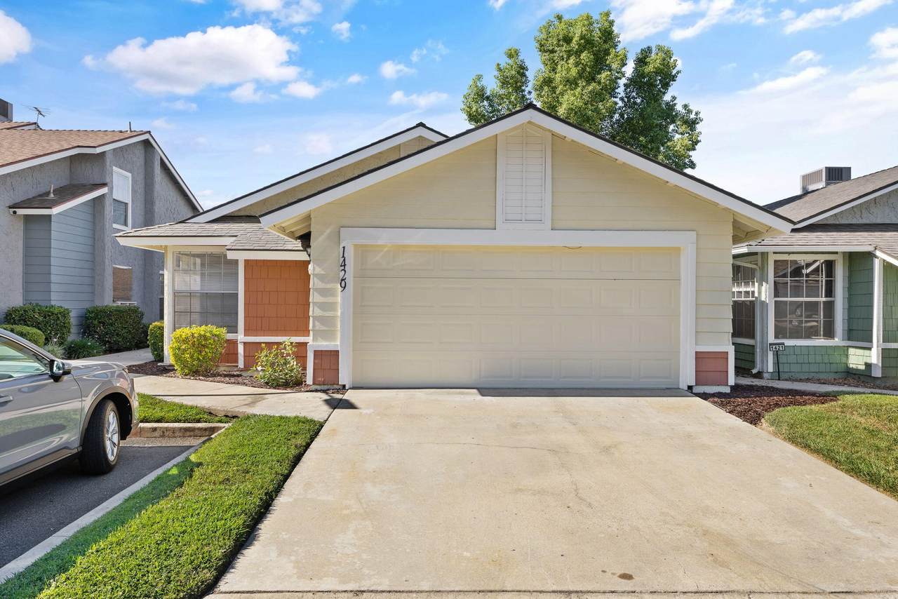 1429 Sunnyview Avenue - Photo 1