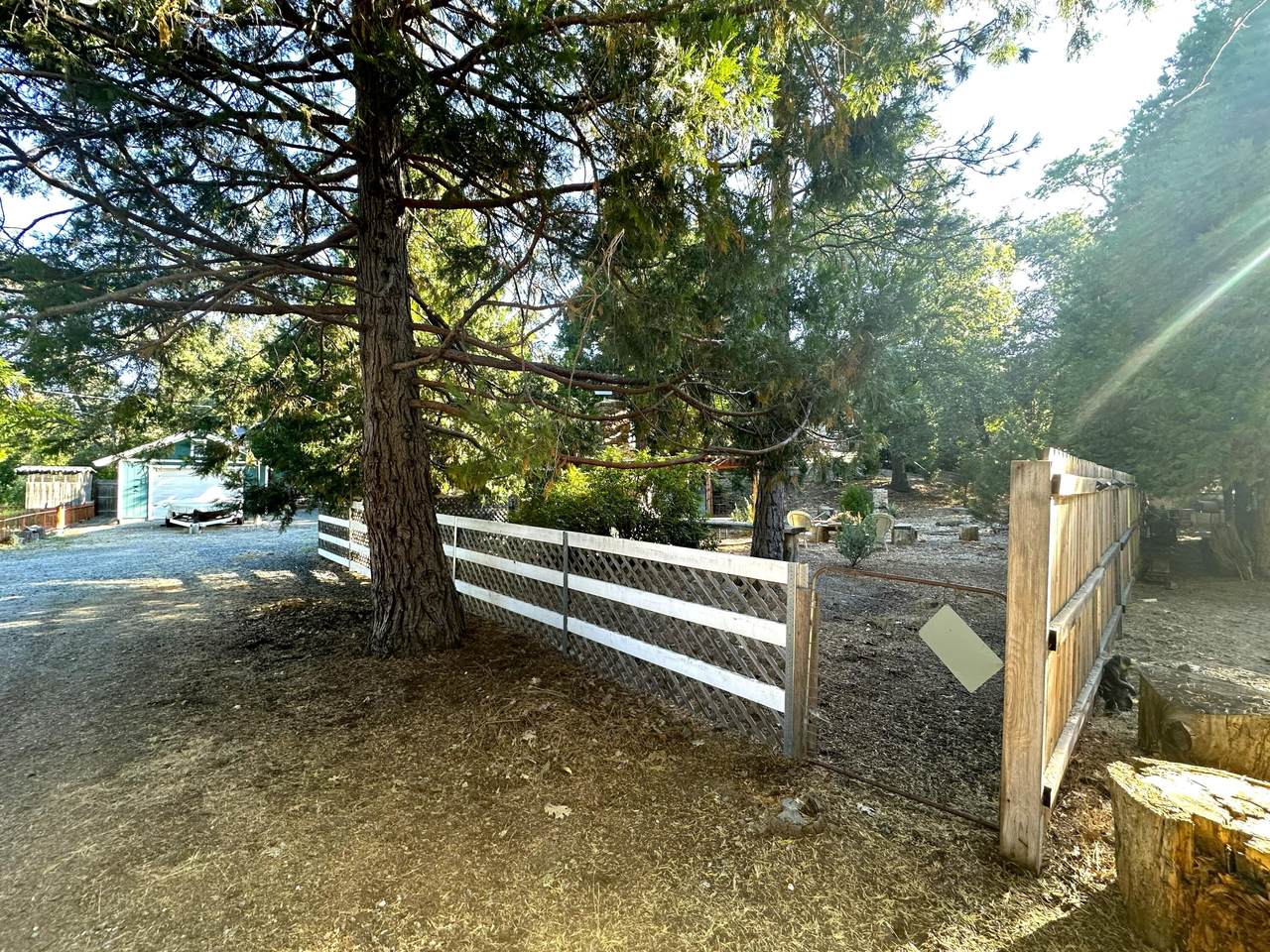 296 Rabbit Foot Trail - Photo 1