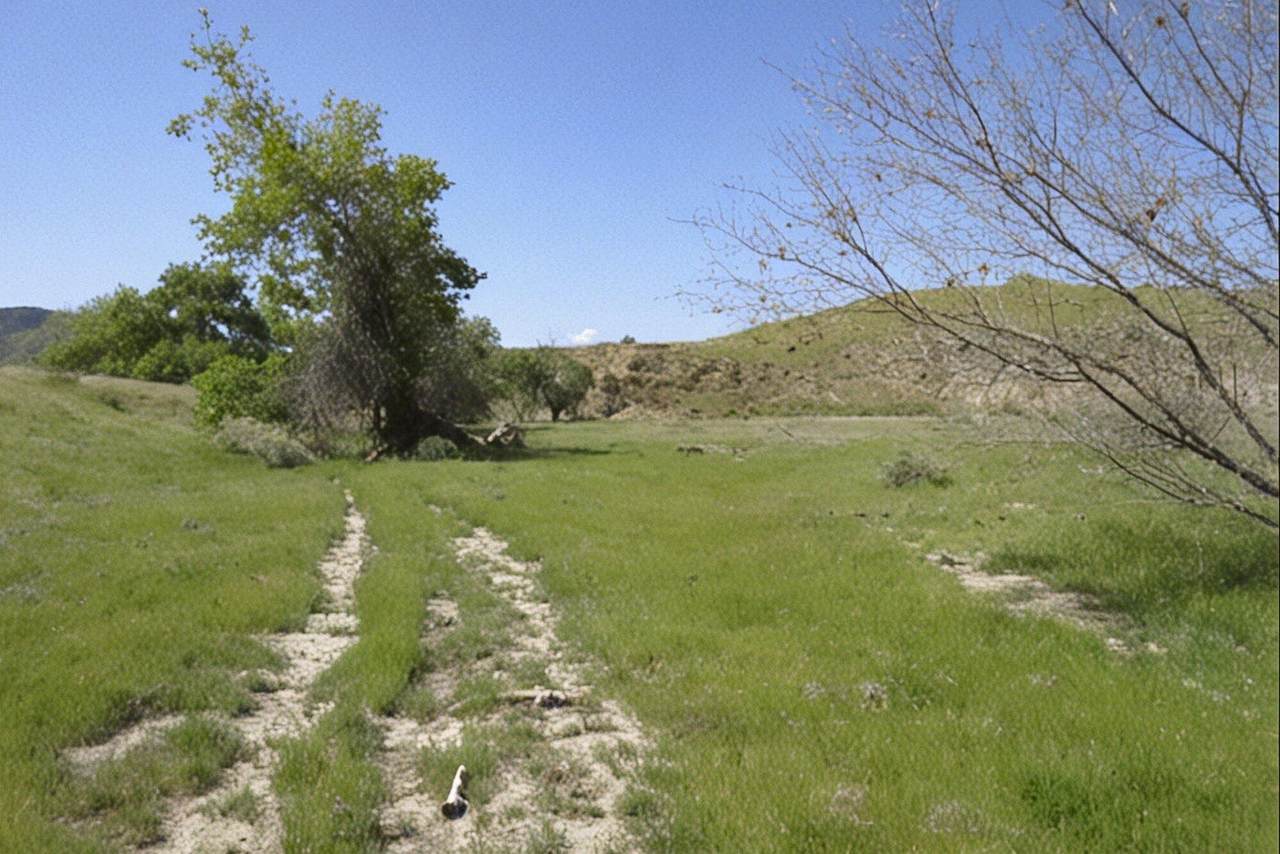 0 Hwy 198 - Photo 1