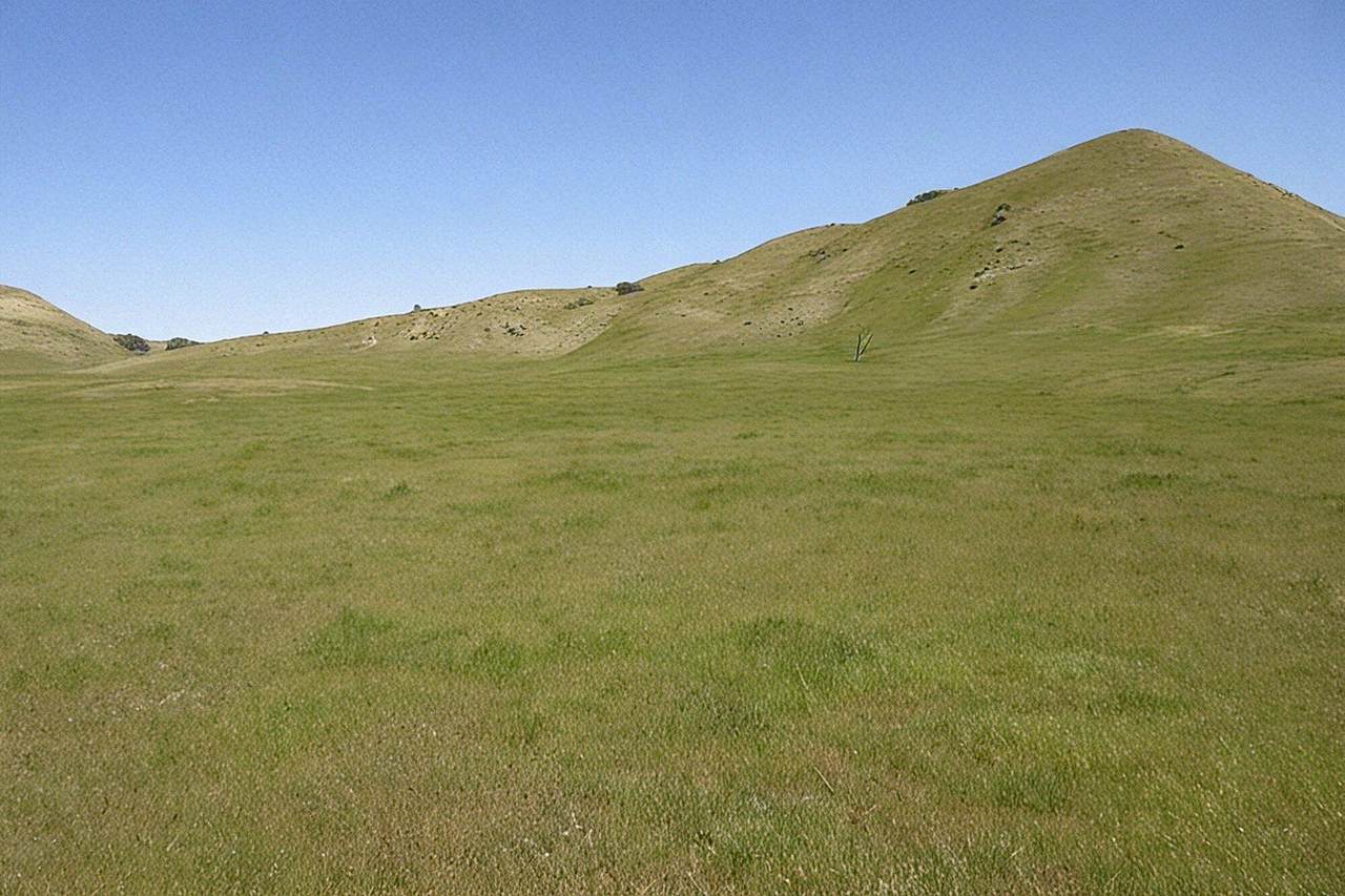 https://bt-photos.global.ssl.fastly.net/tulare/1280_boomver_1_242889-2.jpg
