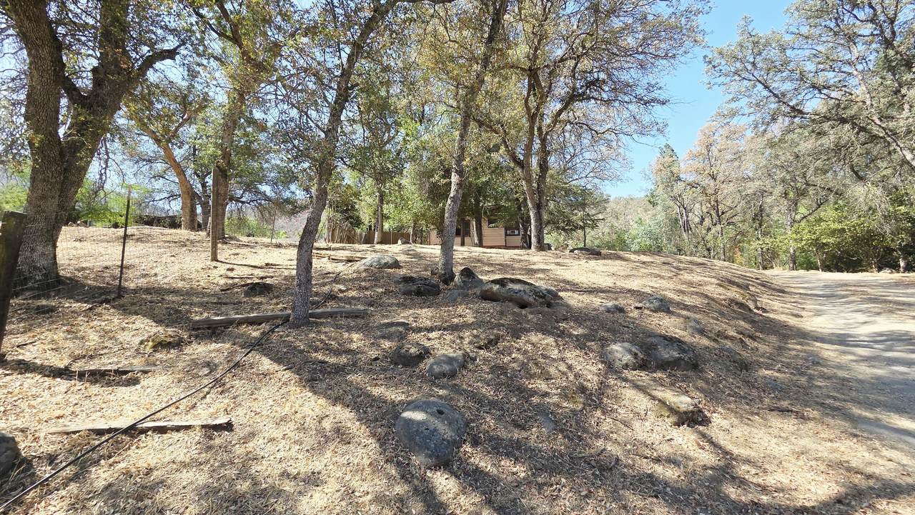 37647 Rio Vista Drive - Photo 1