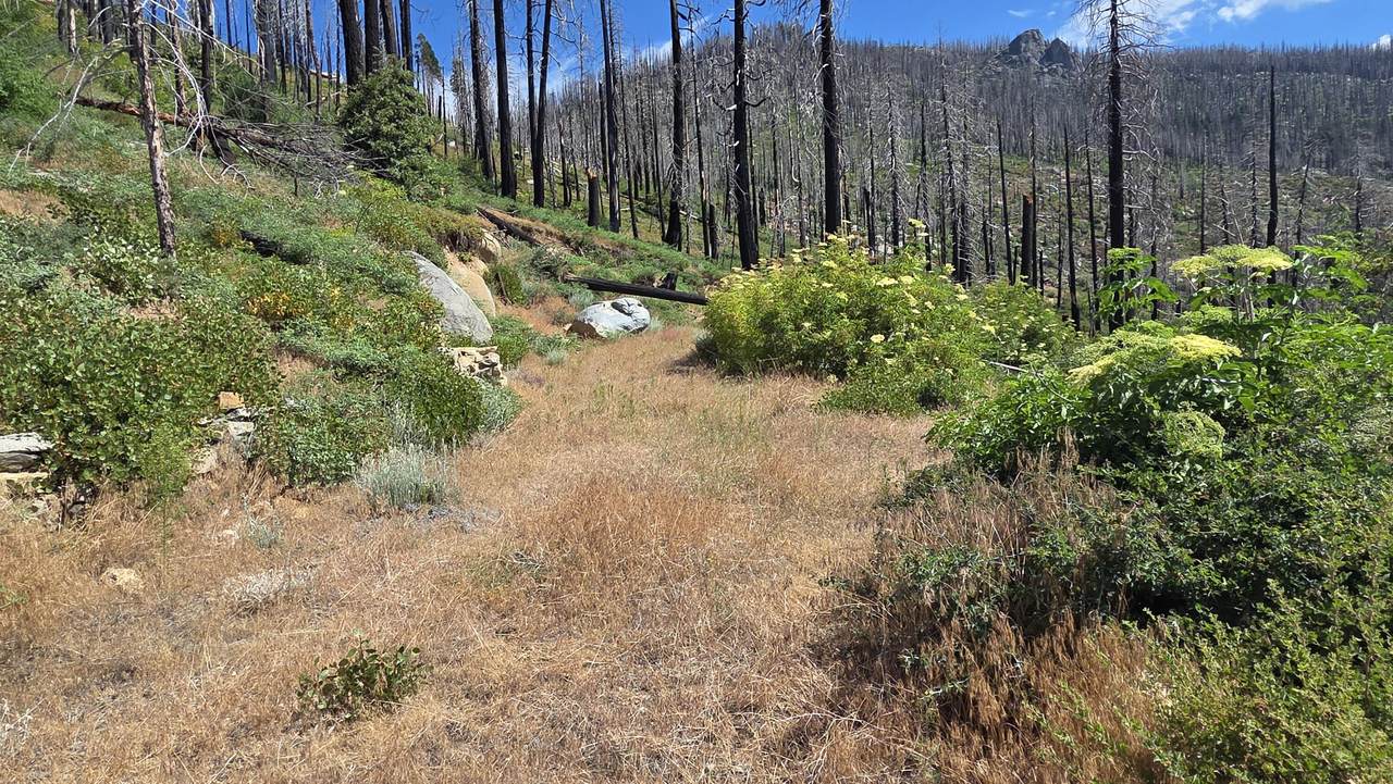 53009 Pine View Drive - Photo 1