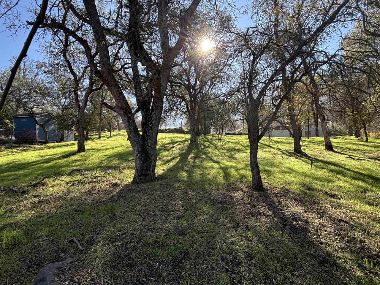 0 Meadow Drive - Photo 1