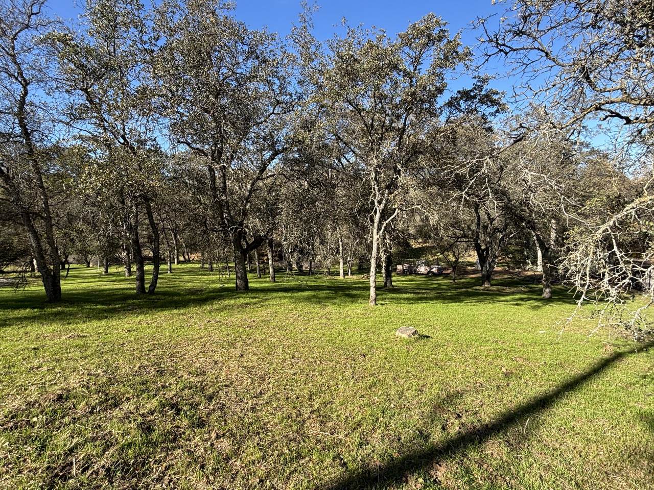 https://bt-photos.global.ssl.fastly.net/tulare/1280_boomver_1_243149-2.jpg