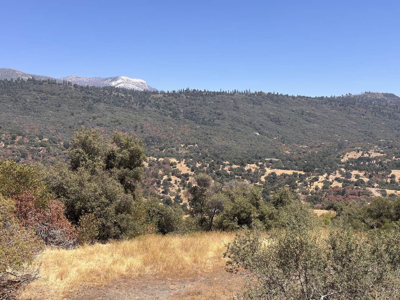 0 Visalia Rd - Photo 1