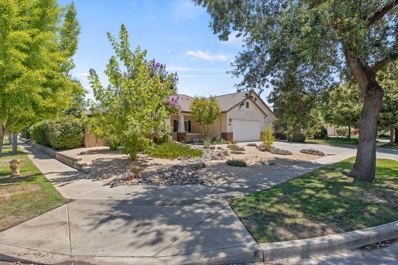 3634 Jackie Street - Photo 1