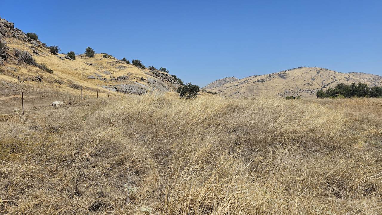 37902 Road 200 - Photo 1