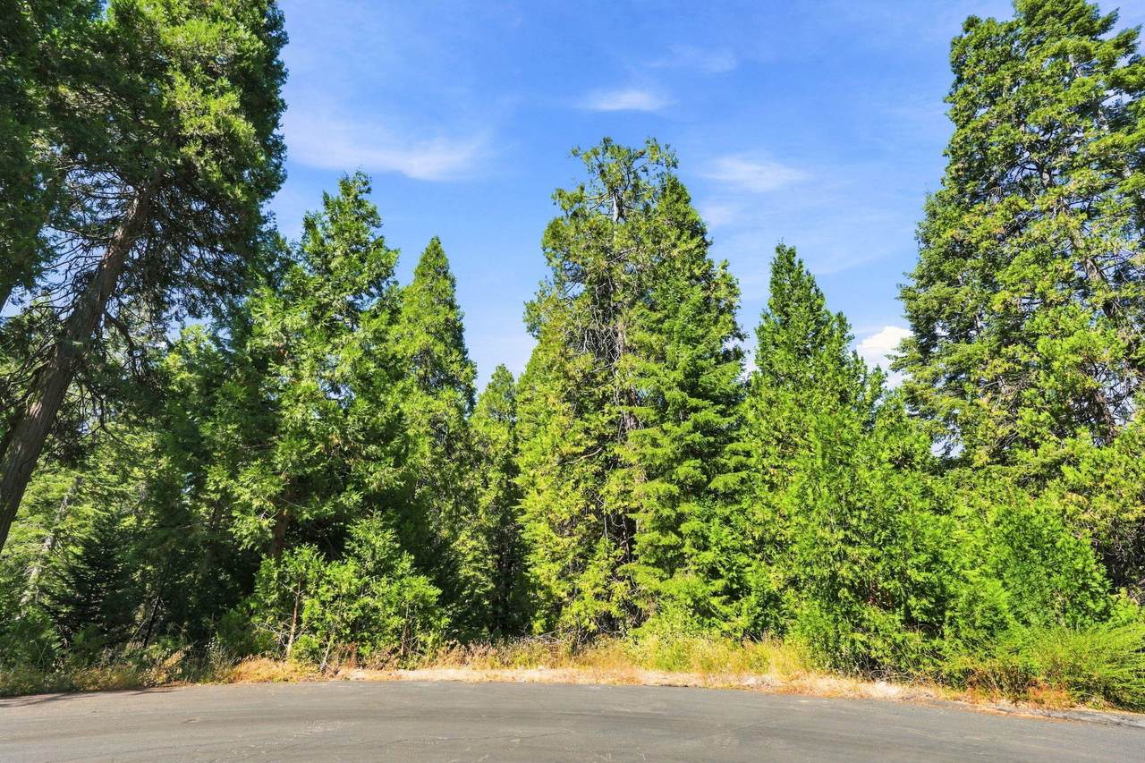https://bt-photos.global.ssl.fastly.net/tulare/1280_boomver_1_243624-2.jpg