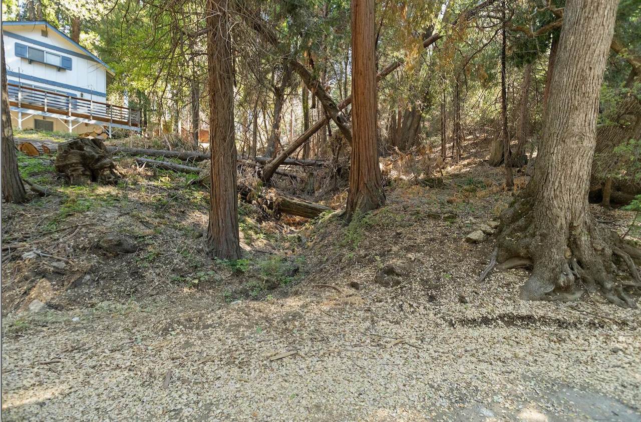 1482 Coy Flat Dr - Photo 1