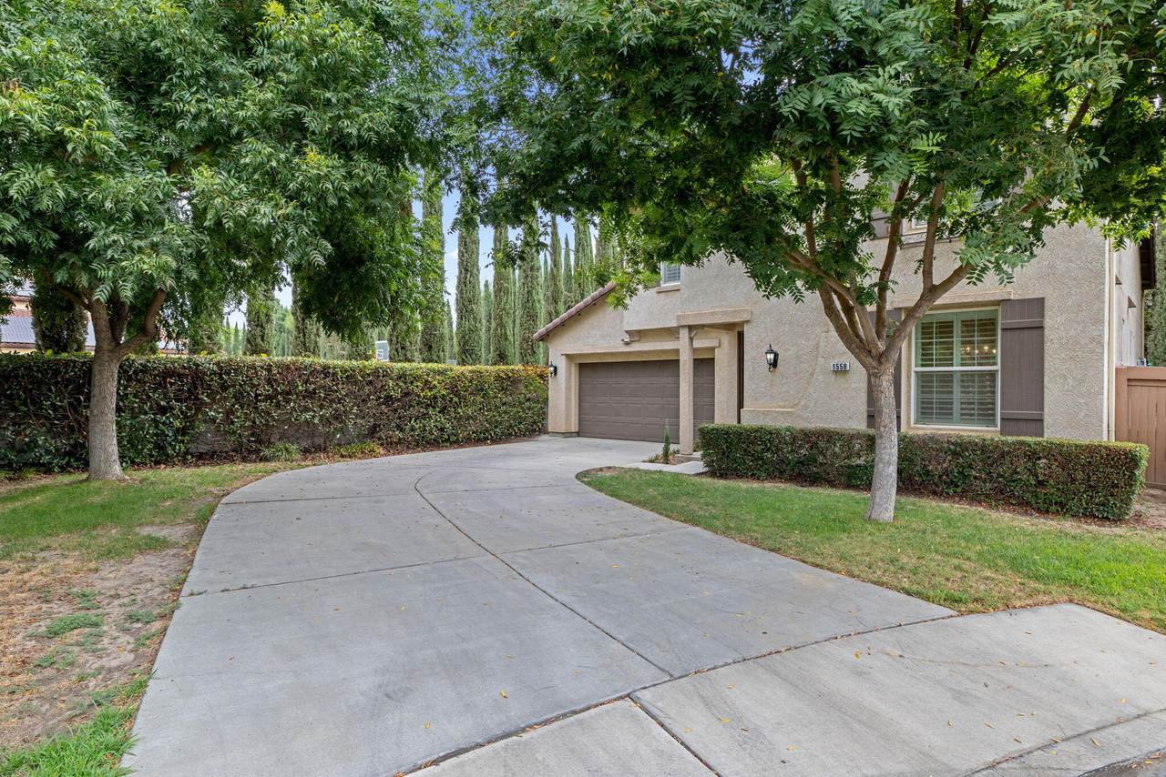 1558 Pisa Street - Photo 1