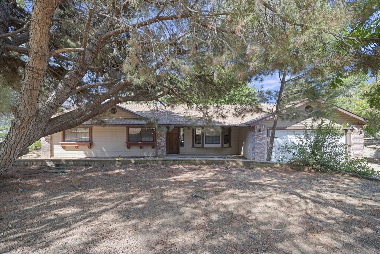 42092 Fork Drive - Photo 1