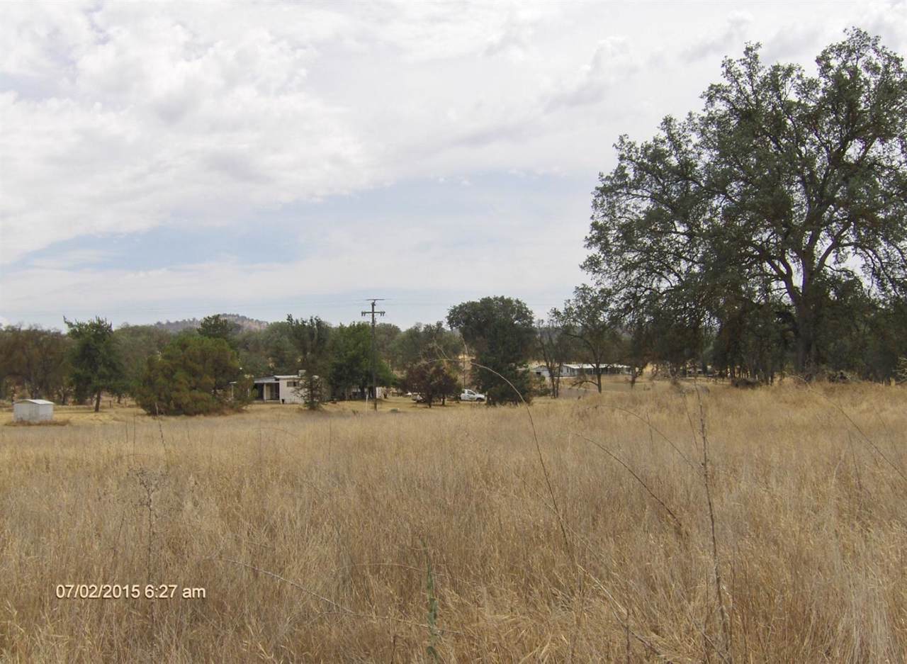 31035 Ruth Hill Rd Road - Photo 1