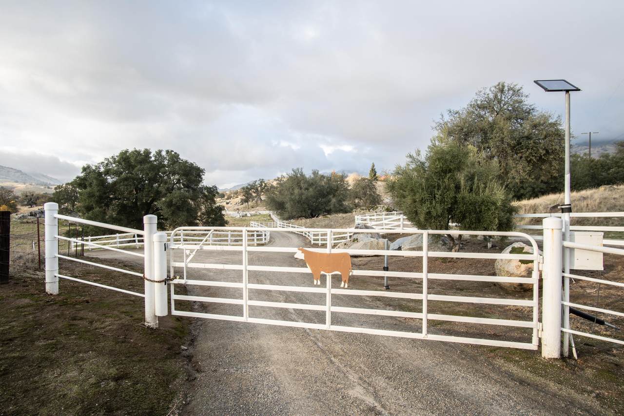 19799 Campbell Creek Drive - Photo 1