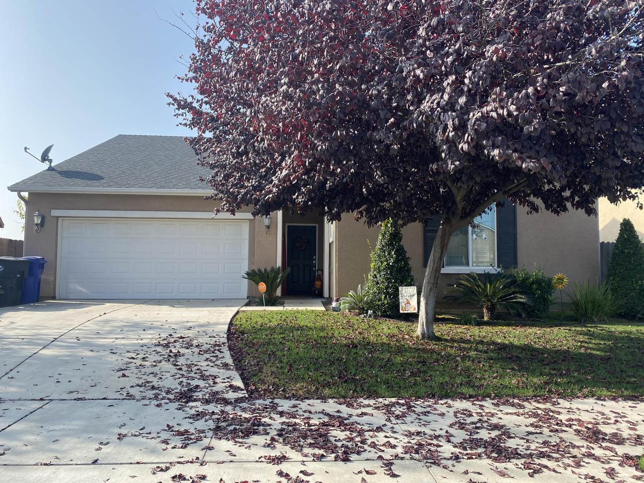 1282 Veronica Avenue - Photo 1