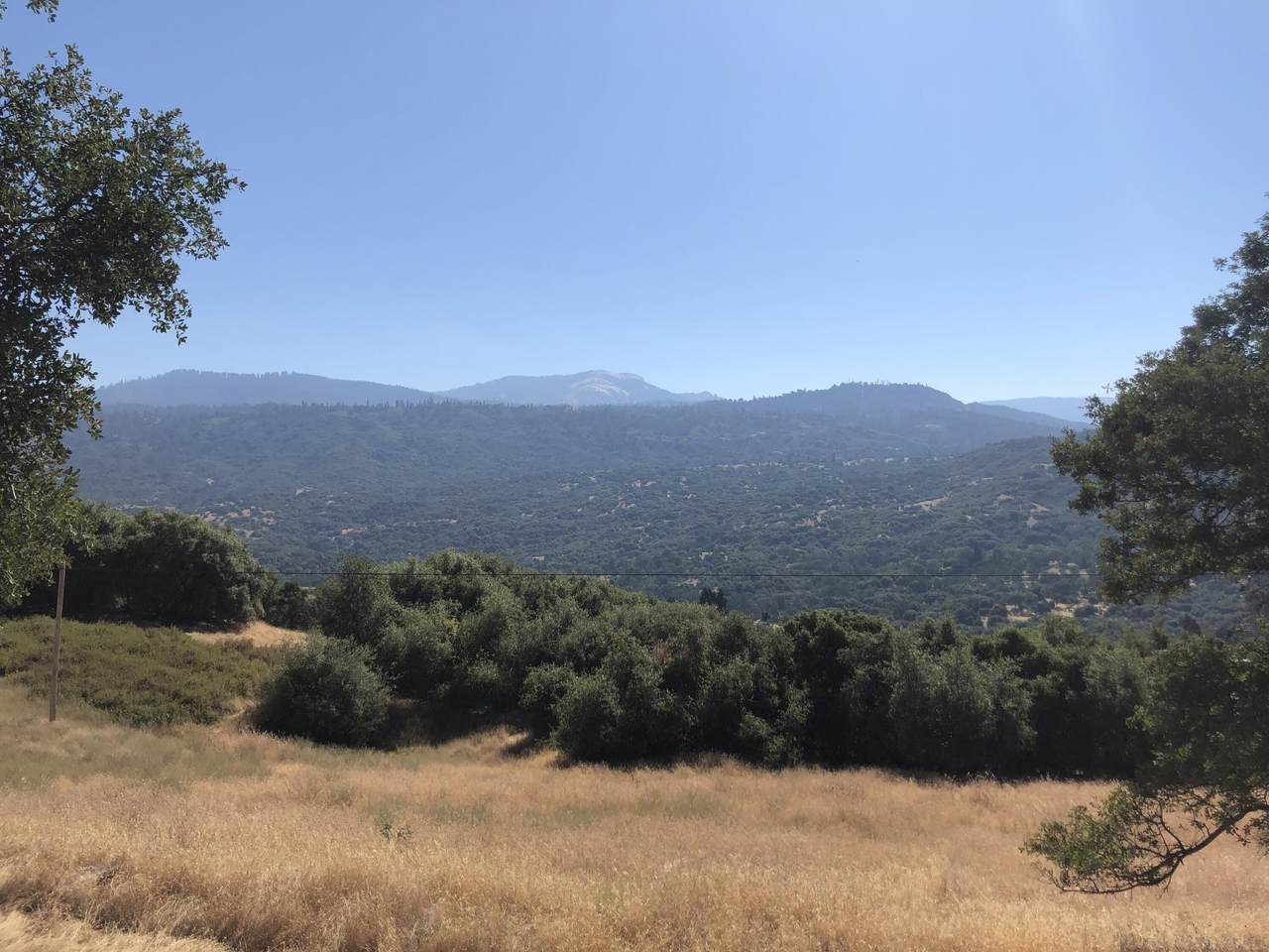 N/N Whitaker Forest Road - Photo 1