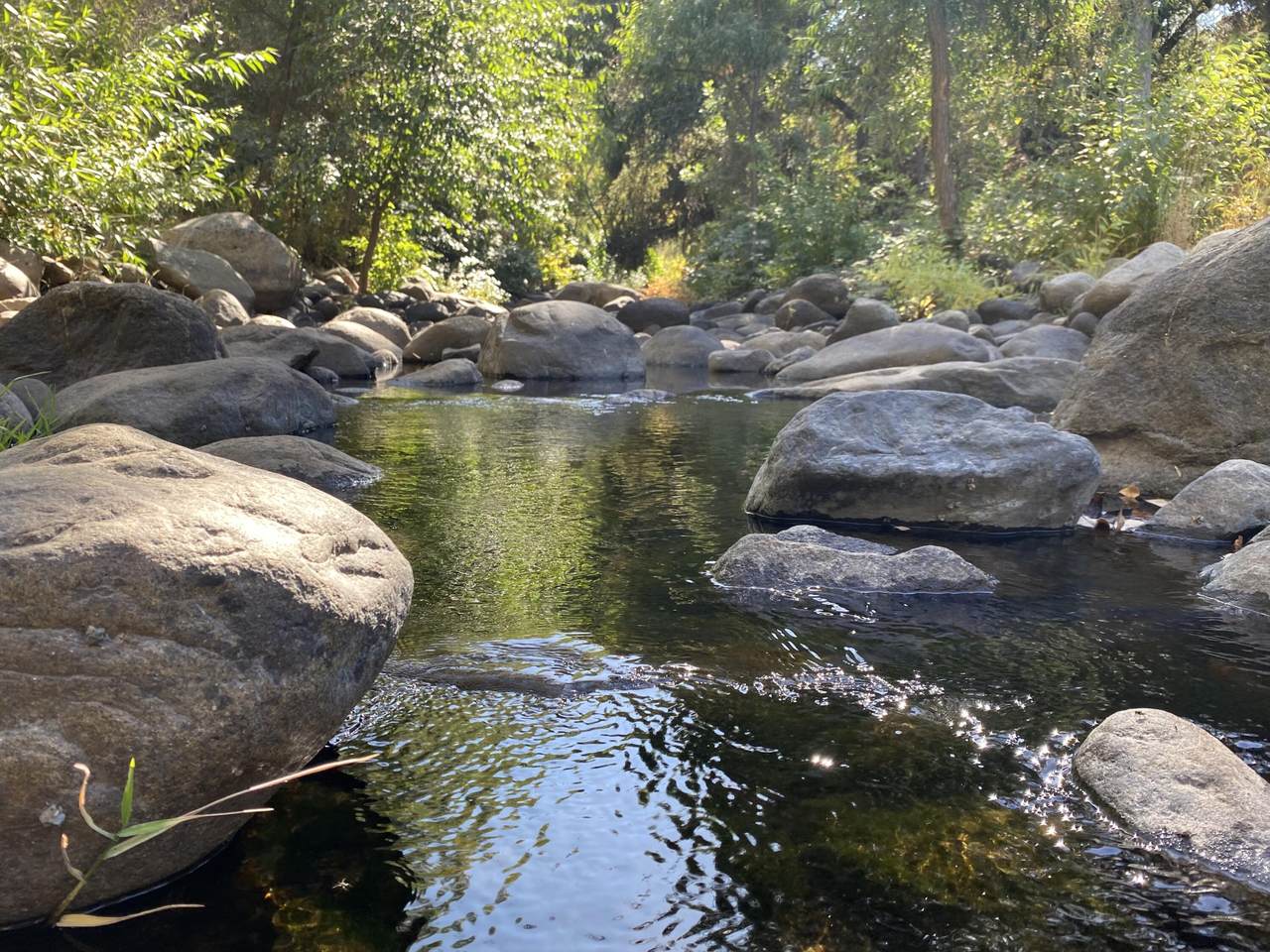 South Fork Drive - Photo 1