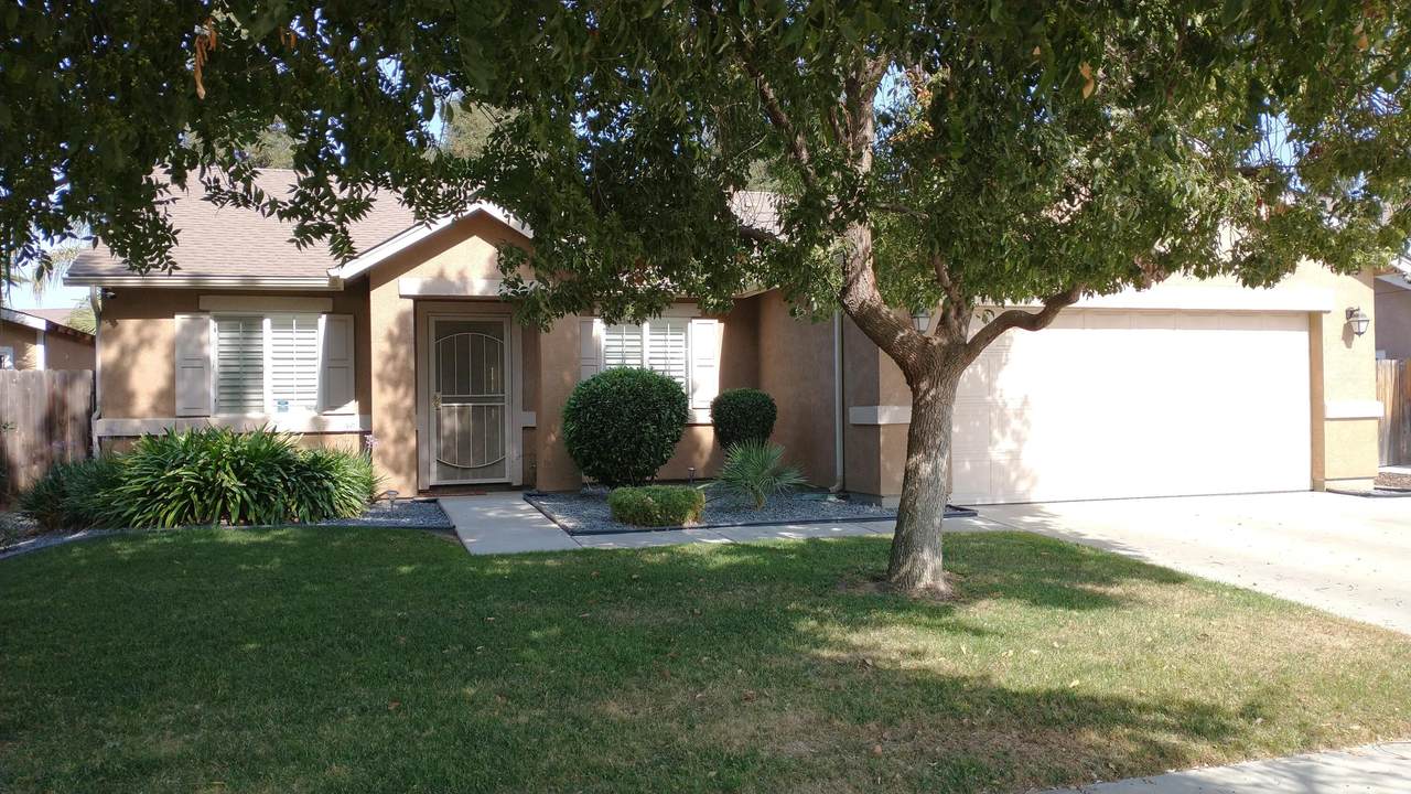 4818 Elkhorn Avenue - Photo 1