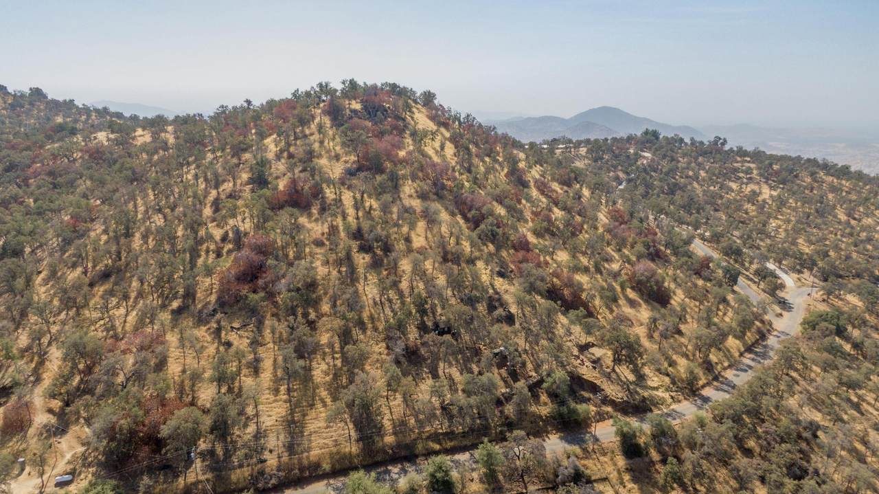 0 Cardinal Ln - Photo 1