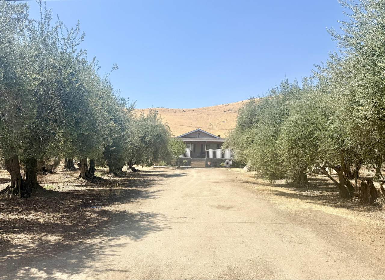 36189 Road 196 - Photo 1